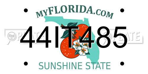 44IT485 Florida License Plate