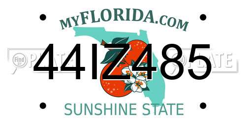 44IZ485 Florida License Plate