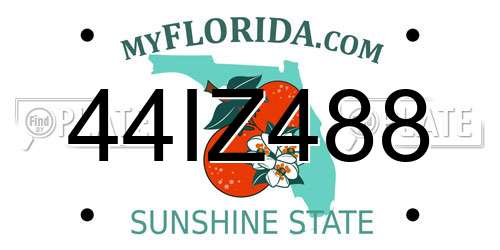 44IZ488 Florida License Plate