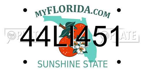 44LI451 Florida License Plate