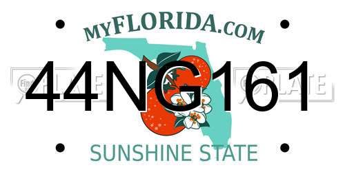 44NG161 Florida License Plate