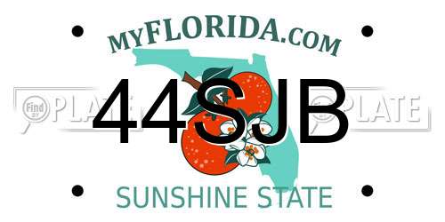 44SJB Florida License Plate