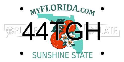 44TGH Florida License Plate