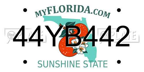 44YB442 Florida License Plate