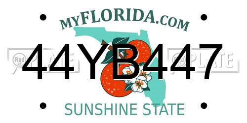 44YB447 Florida License Plate