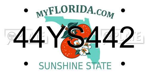 44YS442 Florida License Plate