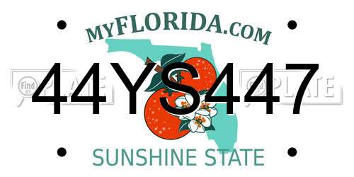 44YS447 Florida License Plate