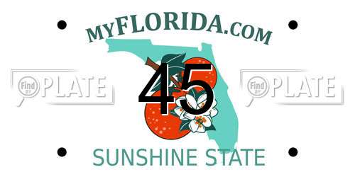 45 Florida License Plate