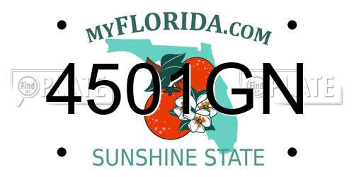 4501GN Florida License Plate