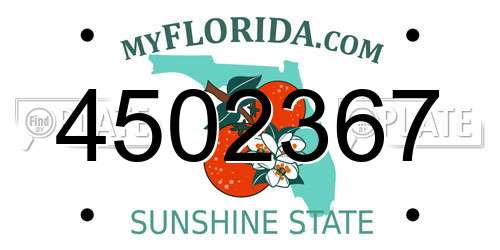 4502367 Florida License Plate
