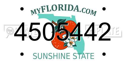 4505442 Florida License Plate