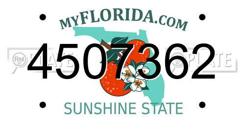 4507362 Florida License Plate