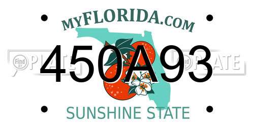 450A93 Florida License Plate