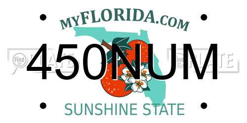 450NUM Florida License Plate