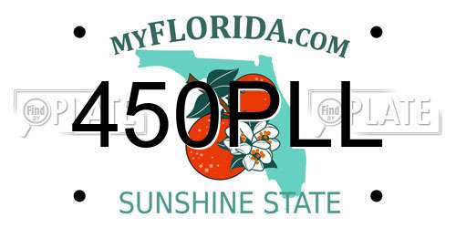 450PLL Florida License Plate