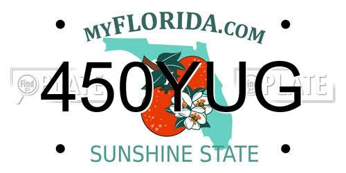 450YUG Florida License Plate