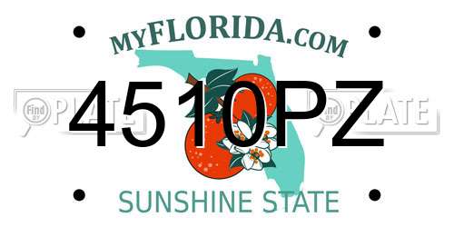 4510PZ Florida License Plate