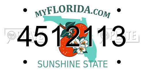 4512113 Florida License Plate