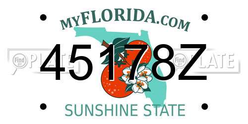 45178Z Florida License Plate