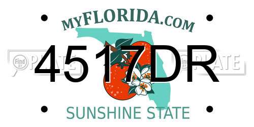 4517DR Florida License Plate