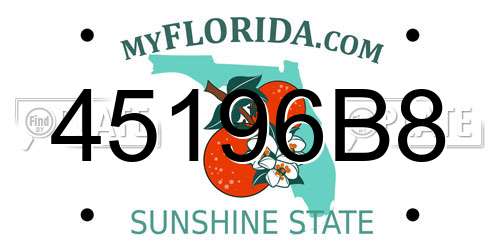 45196B8 Florida License Plate