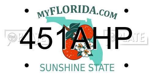 451AHP Florida License Plate