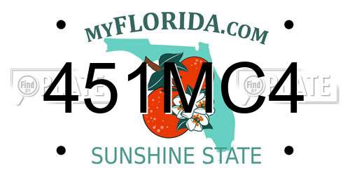 451MC4 Florida License Plate