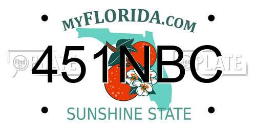 451NBC Florida License Plate