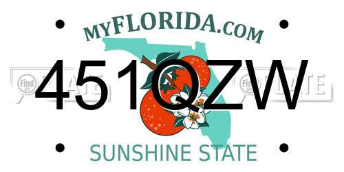 451QZW Florida License Plate
