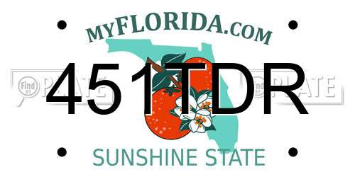 451TDR Florida License Plate