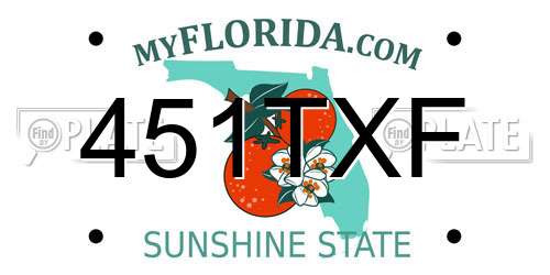 451TXF Florida License Plate