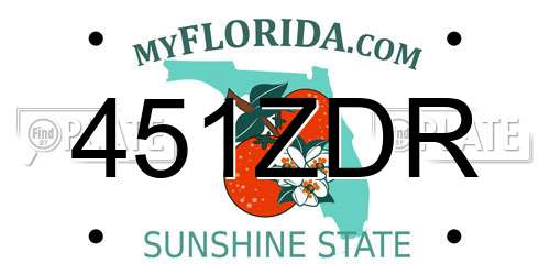 451ZDR Florida License Plate