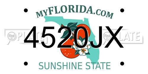 4520JX Florida License Plate