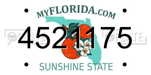 4521175 Florida License Plate