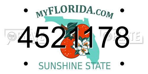 4521178 Florida License Plate