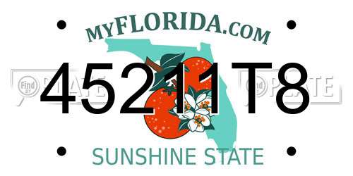 45211T8 Florida License Plate
