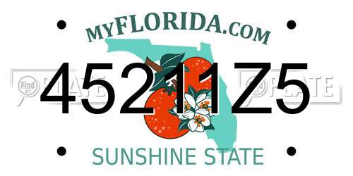 45211Z5 Florida License Plate