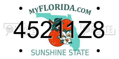 45211Z8 Florida License Plate