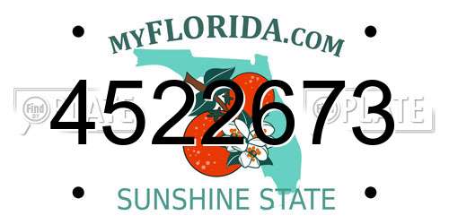 4522673 Florida License Plate