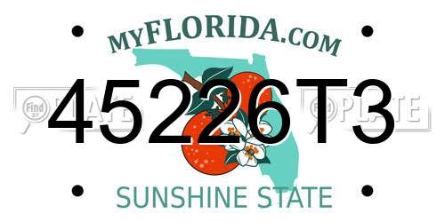 45226T3 Florida License Plate