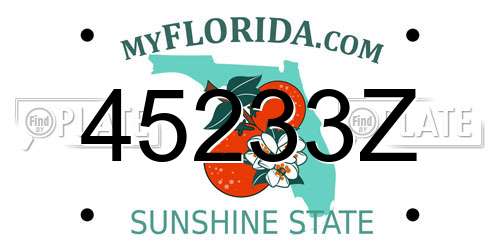45233Z Florida License Plate