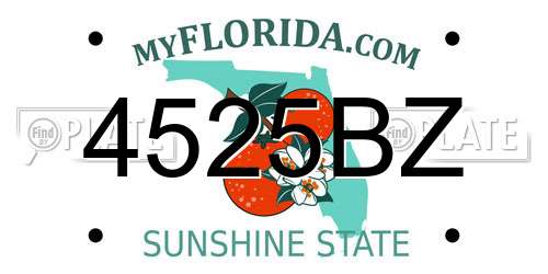4525BZ Florida License Plate