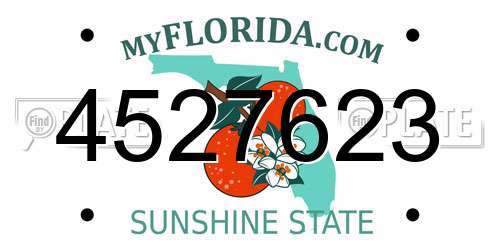 4527623 Florida License Plate