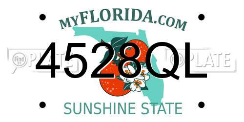 4528QL Florida License Plate