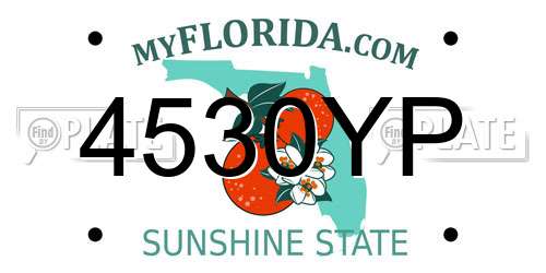 4530YP Florida License Plate