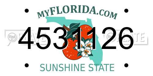 4531126 Florida License Plate