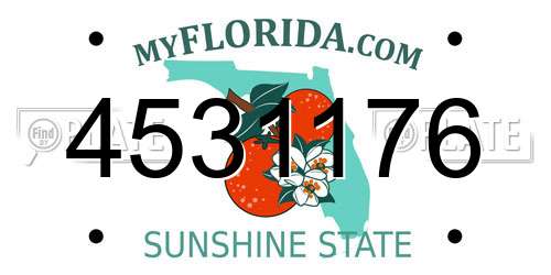 4531176 Florida License Plate