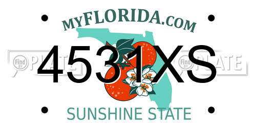 4531XS Florida License Plate
