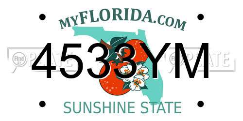 4533YM Florida License Plate