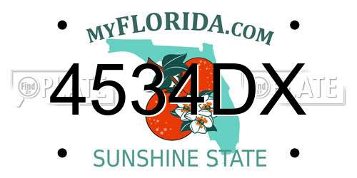 4534DX Florida License Plate
